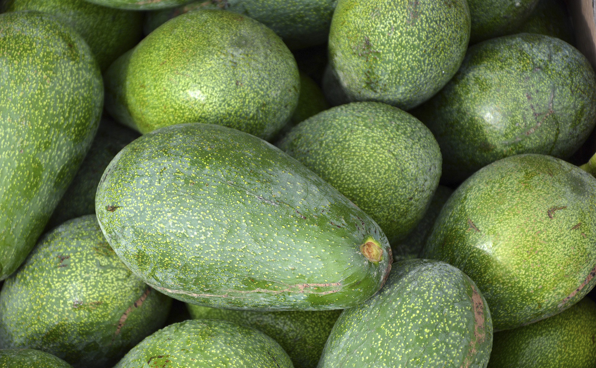 l’avocat en richesse durable 